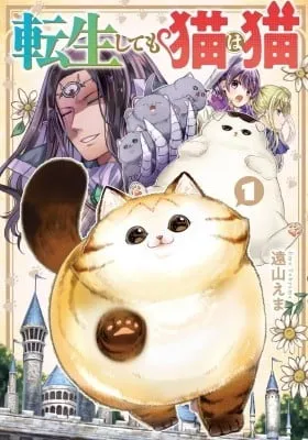 A Story about a Cat Reincarnated in a Different World Where There are no Cats.